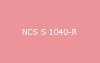 BELUSIL 030 Natursteinsilikon NCS S 1040 R