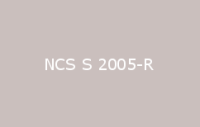 BELUSIL 030 Natursteinsilikon NCS S 2005 R