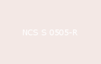 BELUSIL 030 Natursteinsilikon NCS S 0505 R
