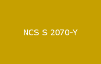 BELUSIL 030 Natursteinsilikon NCS S 2070 Y