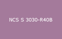 BELUSIL 030 Natursteinsilikon NCS S 3030 R40B