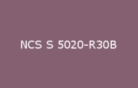 BELUSIL 030 Natursteinsilikon NCS S 5020 R30B
