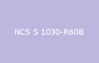 BELUSIL 030 Natursteinsilikon NCS S 1030 R60B