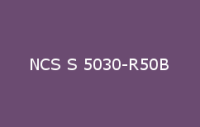 BELUSIL 030 Natursteinsilikon NCS S 5030 R50B