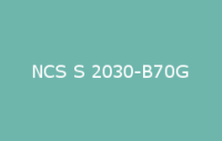 BELUSIL 030 Natursteinsilikon NCS S 2030 B70G