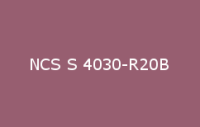 BELUSIL 030 Natursteinsilikon NCS S 4030 R20B