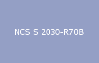 BELUSIL 030 Natursteinsilikon NCS S 2030 R70B