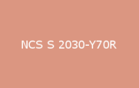 BELUSIL 030 Natursteinsilikon NCS S 2030 Y70R