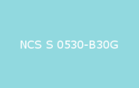 BELUSIL 030 Natursteinsilikon NCS S 0530 B30G