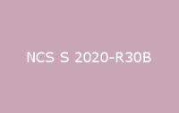 BELUSIL 030 Natursteinsilikon NCS S 2020 R30B