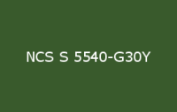 BELUSIL 030 Natursteinsilikon NCS S 5540 G30Y