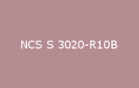 BELUSIL 030 Natursteinsilikon NCS S 3020 R10B