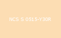 BELUSIL 030 Natursteinsilikon NCS S 0515 Y30R
