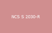 BELUSIL 030 Natursteinsilikon NCS S 2030 R