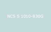 BELUSIL 030 Natursteinsilikon NCS S 1010 B30G