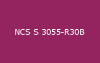 BELUSIL 030 Natursteinsilikon NCS S 3055 R30B
