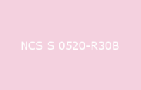 BELUSIL 030 Natursteinsilikon NCS S 0520 R30B