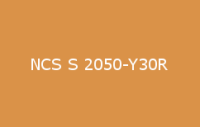 BELUSIL 030 Natursteinsilikon NCS S 2050 Y30R