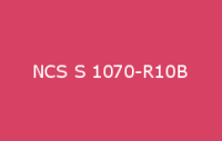 BELUSIL 030 Natursteinsilikon NCS S 1070 R10B