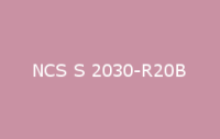 BELUSIL 030 Natursteinsilikon NCS S 2030 R20B