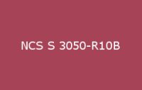 BELUSIL 030 Natursteinsilikon NCS S 3050 R10B