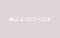 BELUSIL 030 Natursteinsilikon NCS S 1005 R20B
