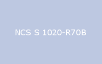 BELUSIL 030 Natursteinsilikon NCS S 1020 R70B