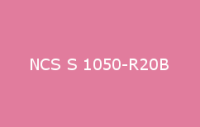 BELUSIL 030 Natursteinsilikon NCS S 1050 R20B
