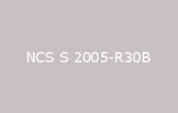 BELUSIL 030 Natursteinsilikon NCS S 2005 R30B