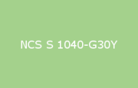 BELUSIL 030 Natursteinsilikon NCS S 1040 G30Y