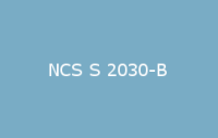 BELUSIL 030 Natursteinsilikon NCS S 2030 B