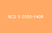 BELUSIL 030 Natursteinsilikon NCS S 0550 Y40R