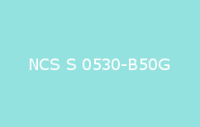 BELUSIL 030 Natursteinsilikon NCS S 0530 B50G