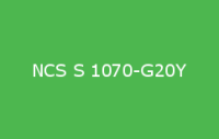 BELUSIL 030 Natursteinsilikon NCS S 1070 G20Y