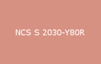 BELUSIL 030 Natursteinsilikon NCS S 2030 Y80R