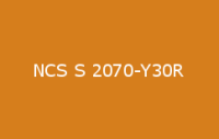 BELUSIL 030 Natursteinsilikon NCS S 2070 Y30R