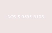 BELUPOL 080 Polymer NCS S 0505 R10B