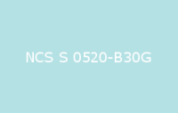 BELUPOL 080 Polymer NCS S 0520 B30G