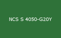BELUPOL 080 Polymer NCS S 4050 G20Y