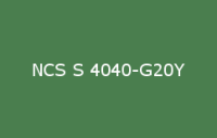 BELUPOL 080 Polymer NCS S 4040 G20Y