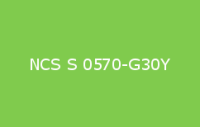 BELUPOL 080 Polymer NCS S 0570 G30Y