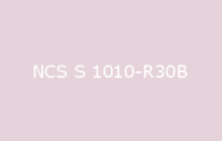 BELUPOL 080 Polymer NCS S 1010 R30B
