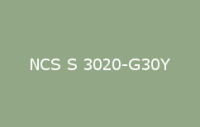 BELUPOL 080 Polymer NCS S 3020 G30Y