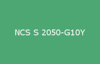 BELUPOL 080 Polymer NCS S 2050 G10Y