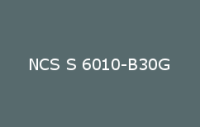 BELUPOL 080 Polymer NCS S 6010 B30G
