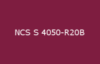 BELUPOL 080 Polymer NCS S 4050 R20B
