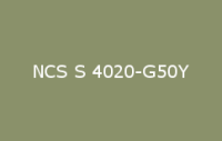 BELUPOL 080 Polymer NCS S 4020 G50Y