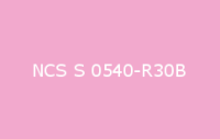 BELUPOL 080 Polymer NCS S 0540 R30B