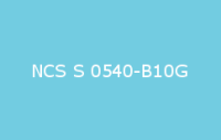 BELUPOL 080 Polymer NCS S 0540 B10G