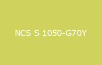 BELUPOL 080 Polymer NCS S 1050 G70Y
